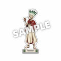 Hot anime Dr.Stone acrylic keychain model cosplay charm characters Senku Tsukasa Taiju kuromu key ring fans Christmas gifts